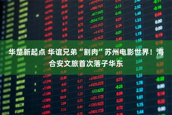 华楚新起点 华谊兄弟“割肉”苏州电影世界！海合安文旅首次落子华东
