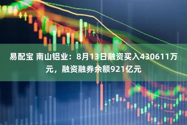 易配宝 南山铝业：8月13日融资买入430611万元，融资融券余额921亿元