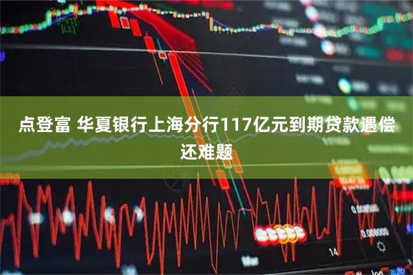 点登富 华夏银行上海分行117亿元到期贷款遇偿还难题